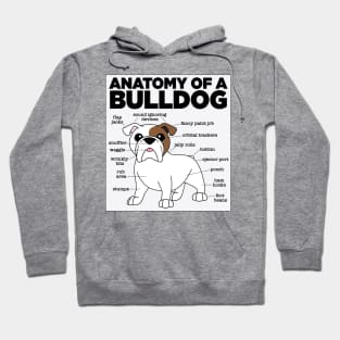 Anatomy of a Bulldog Hoodie